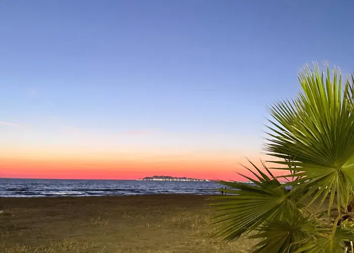 Lägenhet Coastal Dreams